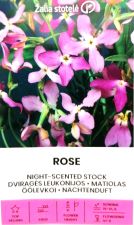 Night Scented Stock Lilac Rose Seeds